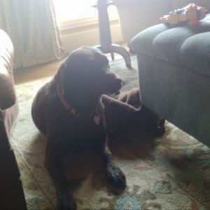 Meet your Posher, Cathy